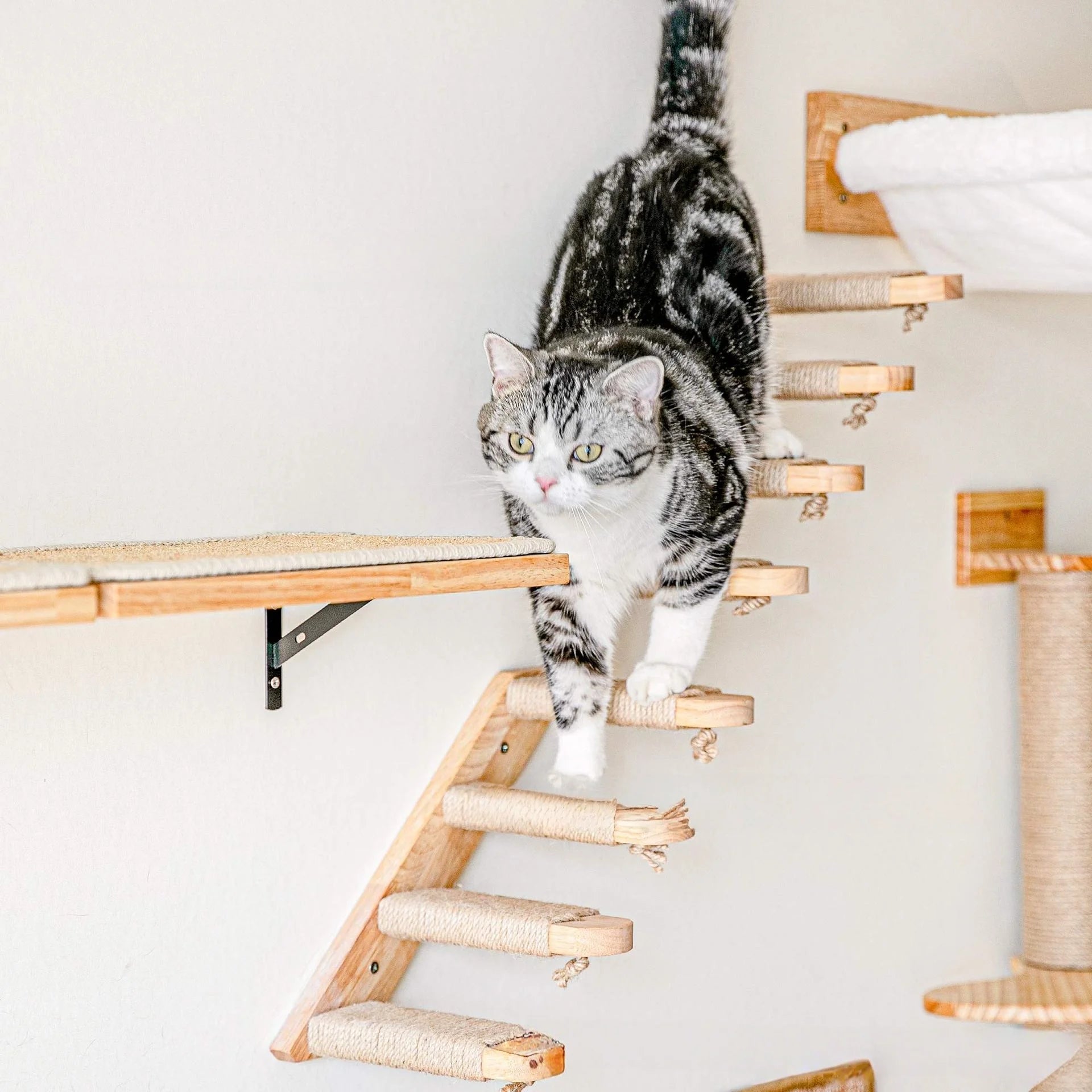 Cozy Cloud™ Wooden Climbing Steps for Your Furry Friend