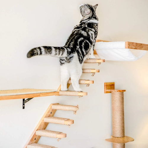 Cozy Cloud™ Wooden Climbing Steps for Your Furry Friend